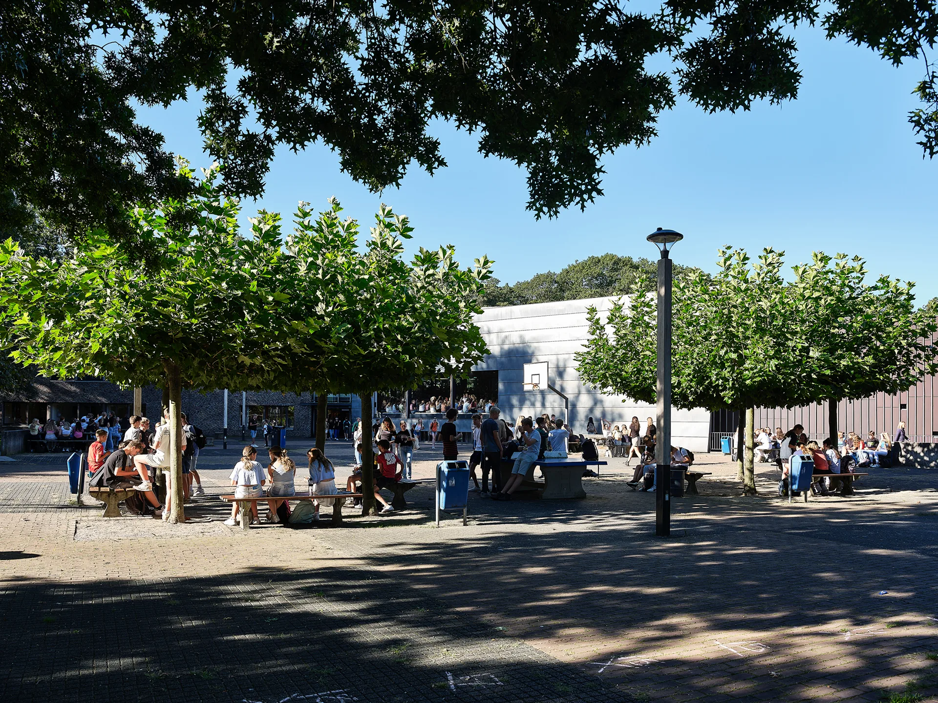 Almende College